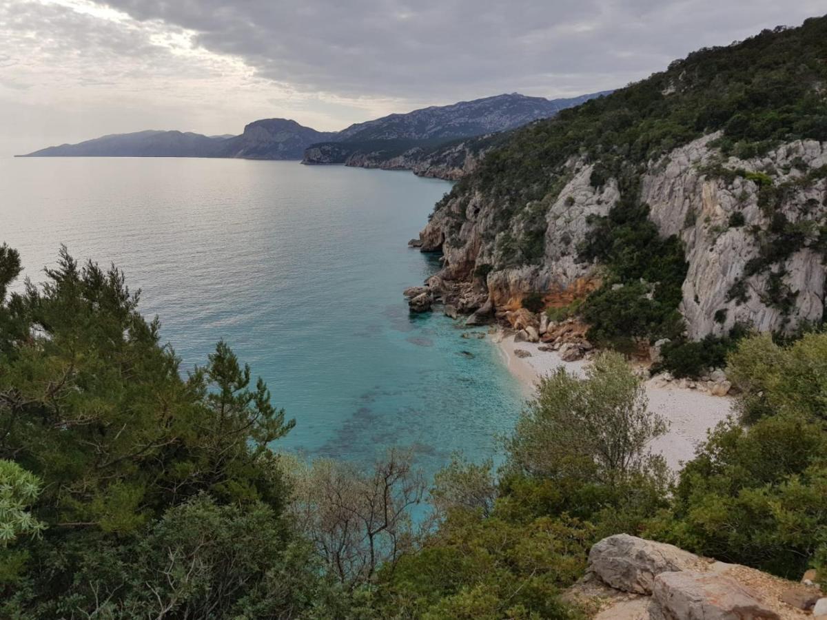 Limone