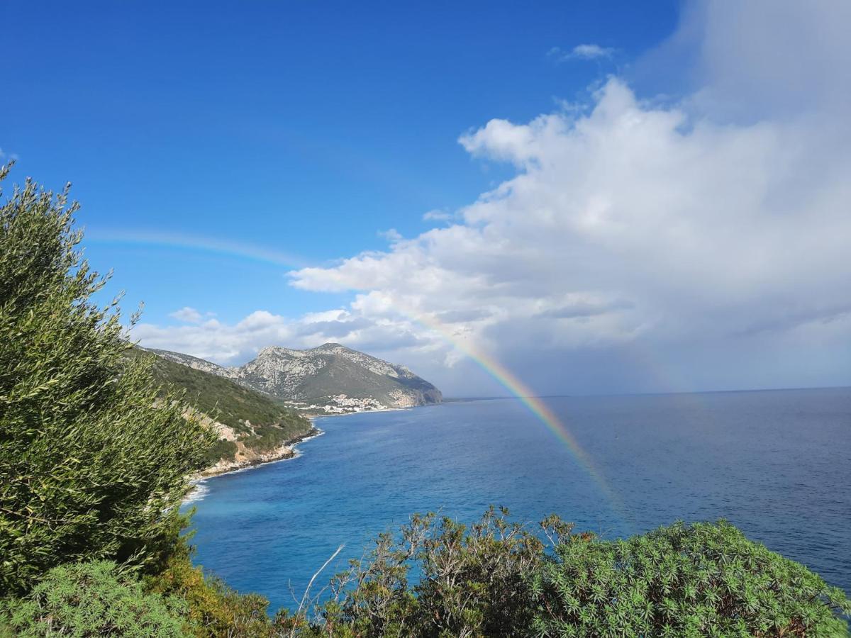 Limone Cala Gonone
